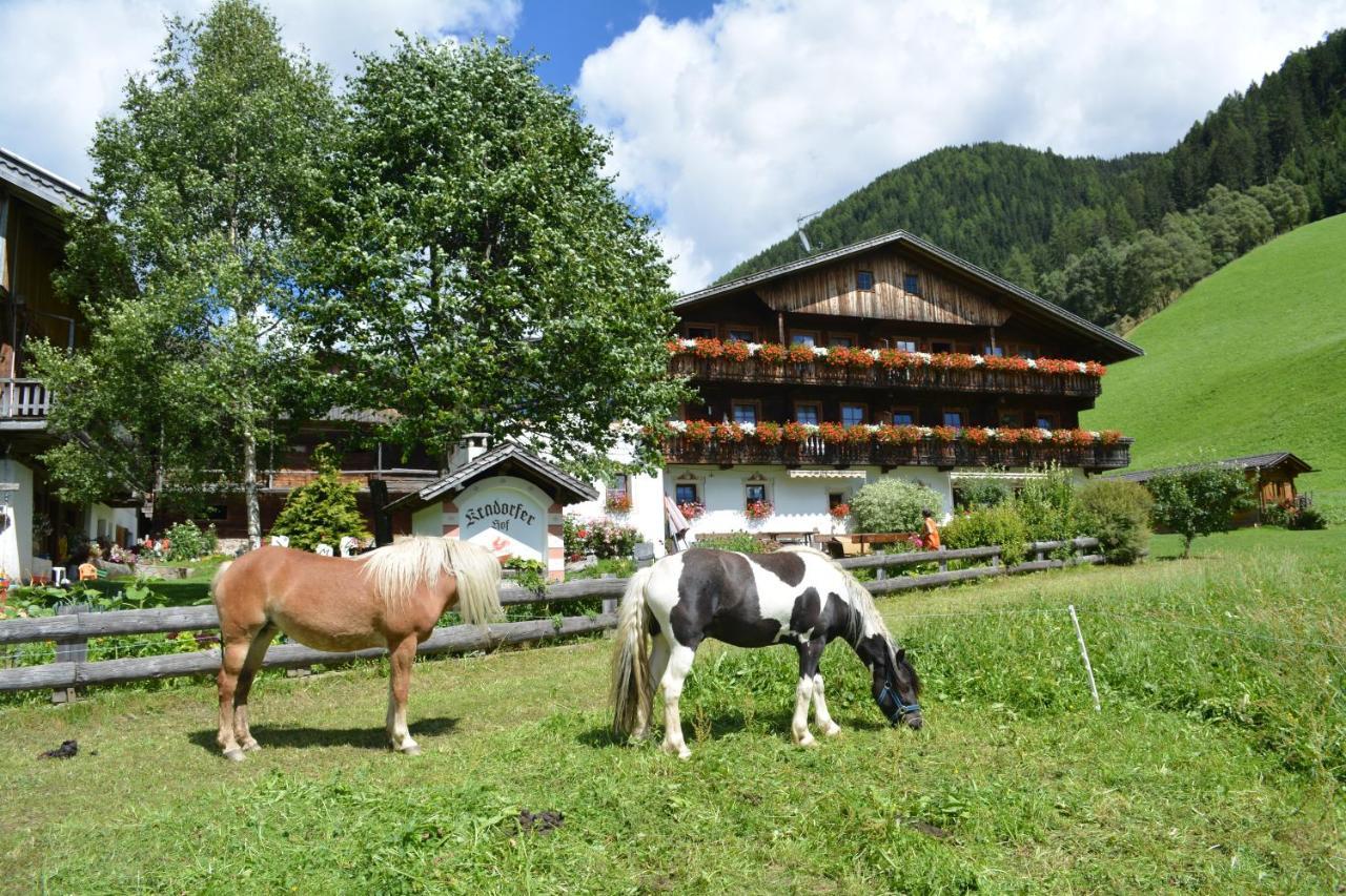 Kradorferhof Apartment Santa Maddalena in Casies Luaran gambar
